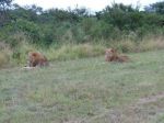 safrica05_image39.jpg